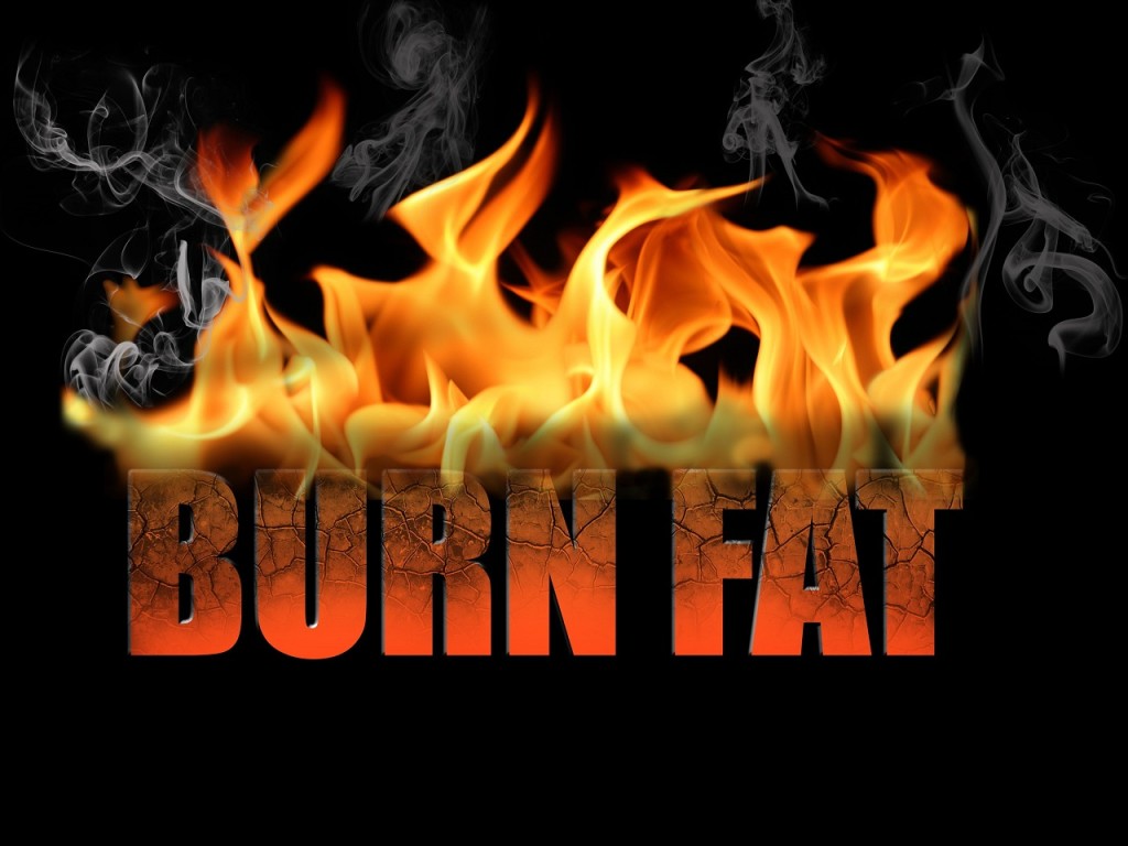 Fat Loss
