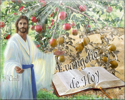 Resultado de imagen para Lucas 6,43-49
