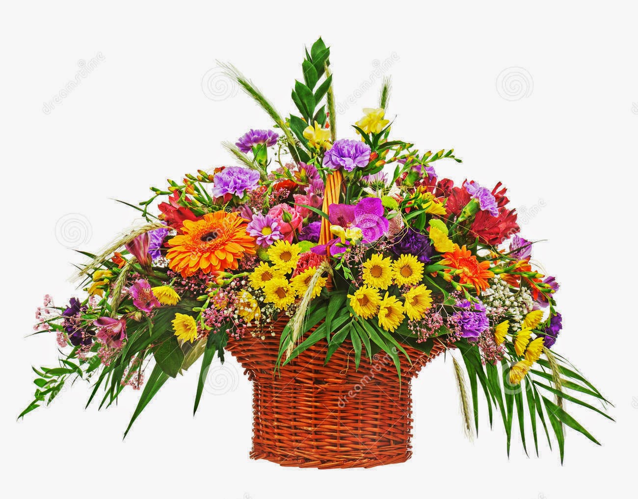 Exotic flowers names and pictures Flower arrangements in wicker baskets