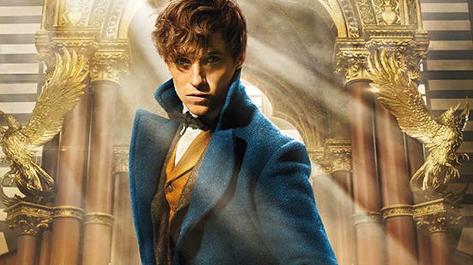 Tudo sobre... Newt Scamander!