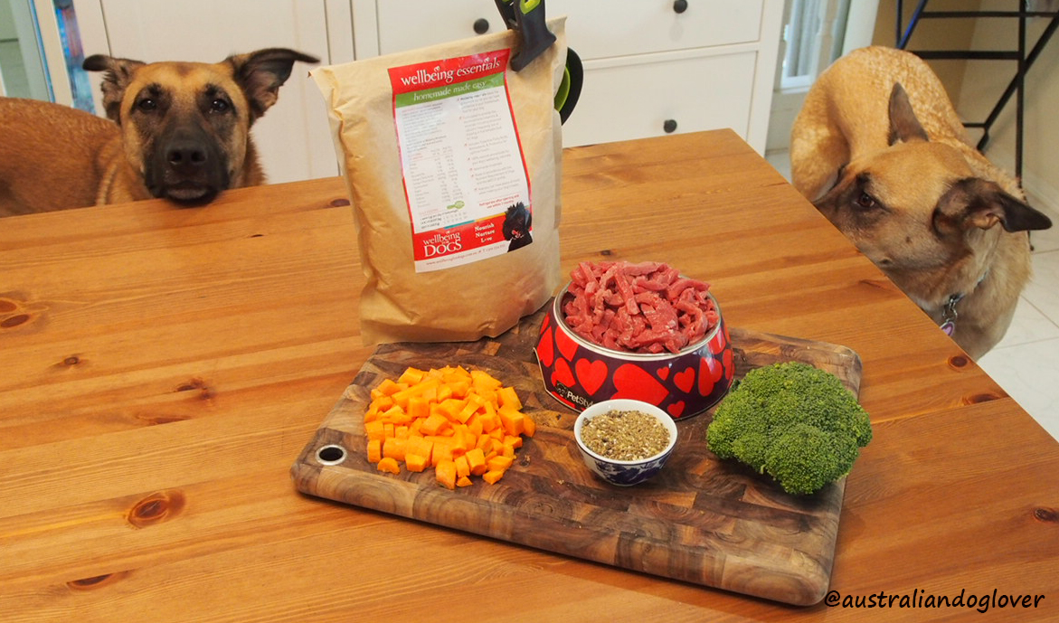 Wellbeing Essentials for Dogs Review Australian Dog Lover