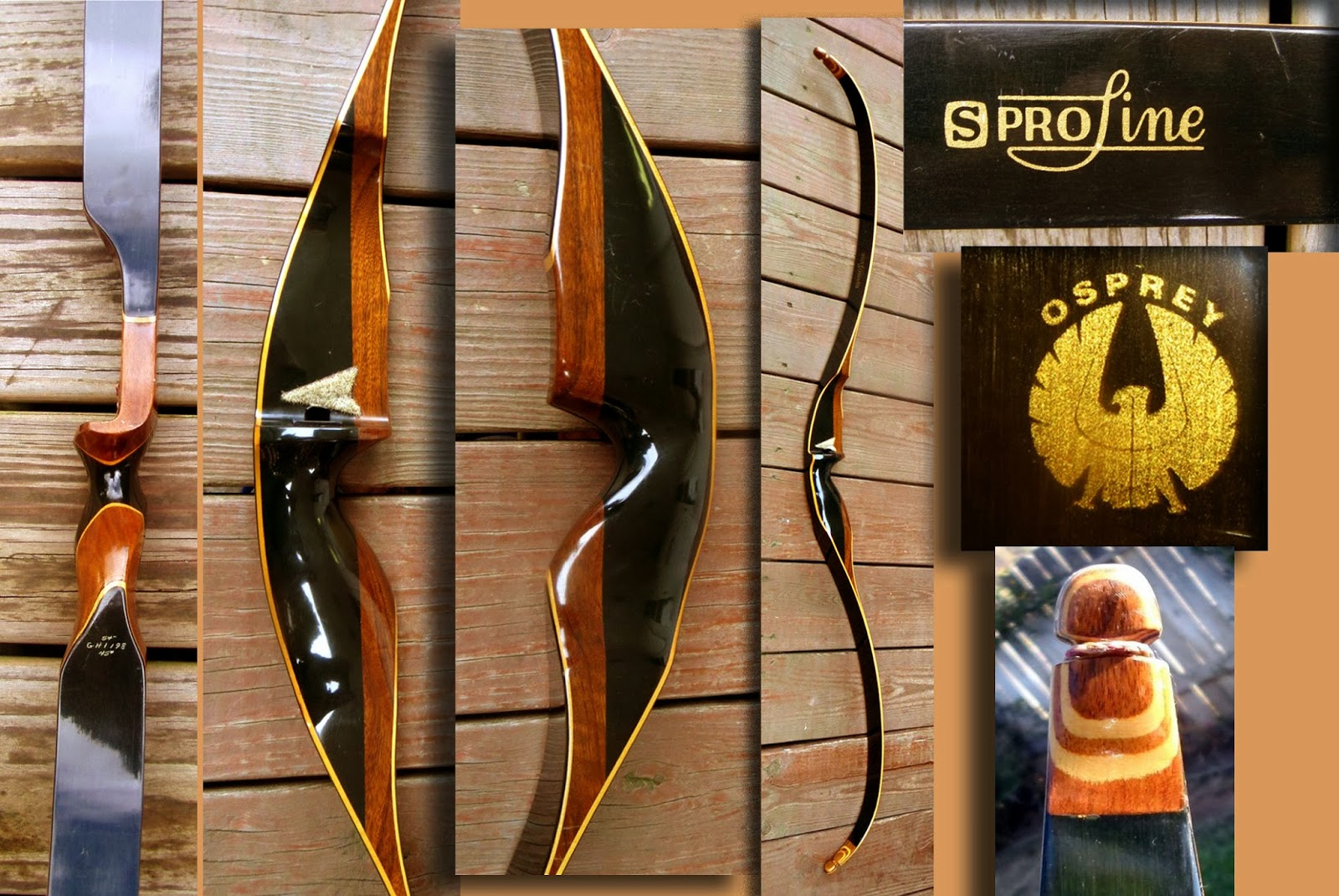 VINTAGE SHAKESPEARE / ROOT ARCHERY Proline / Shakespeare bows