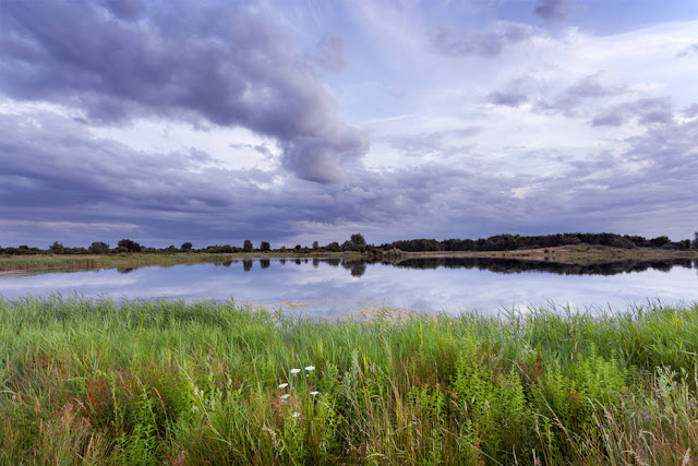 Cambridgeshire wildlife reserve at Ouse Fen in the early evening light by Martyn Ferry Photography
