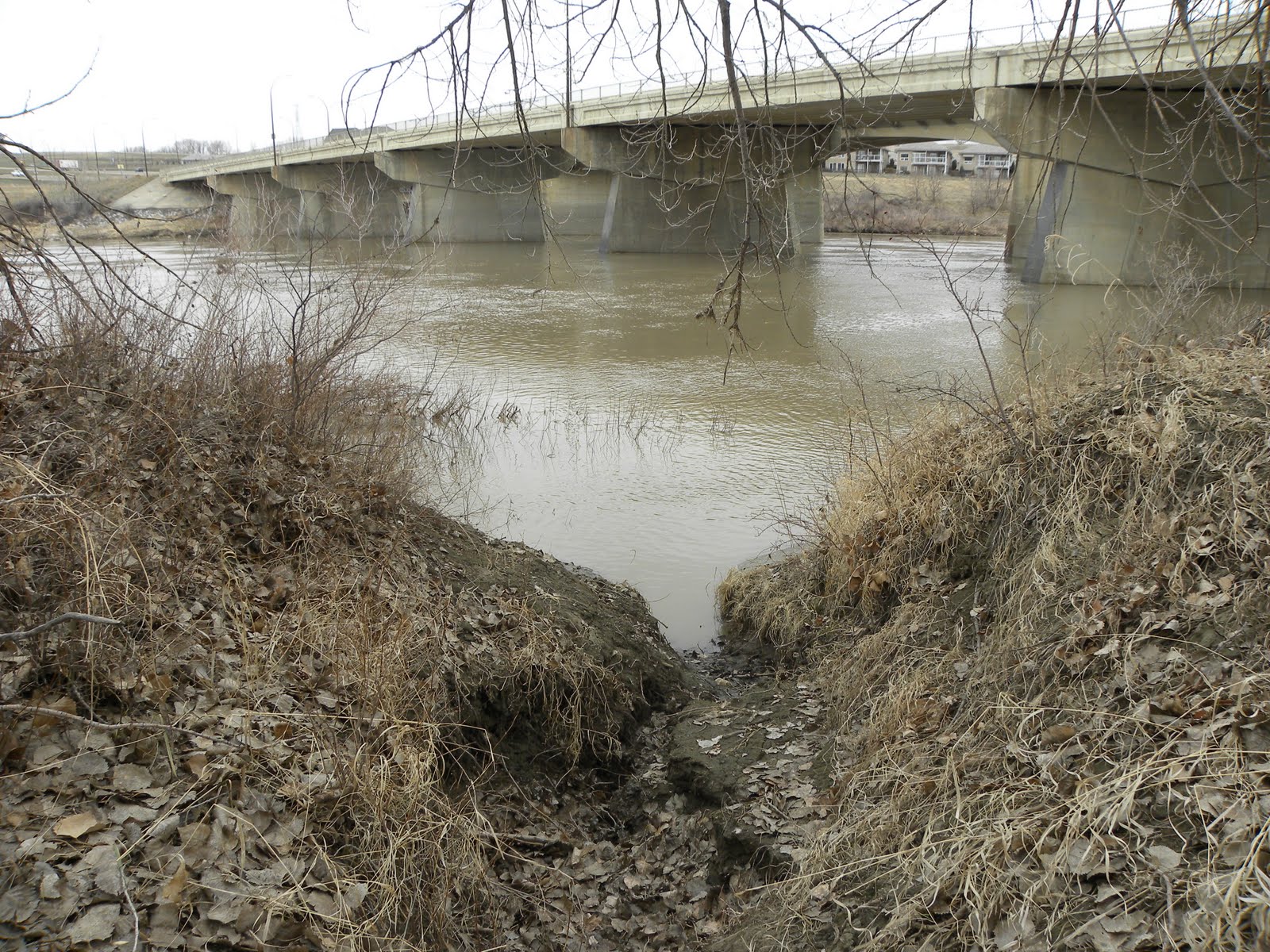 Medicine Hat Bridges in Medicine Hat