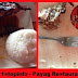 Foods - Payag Restaurant - Jo’s famous Chicken Inato Tagbilaran, Bohol