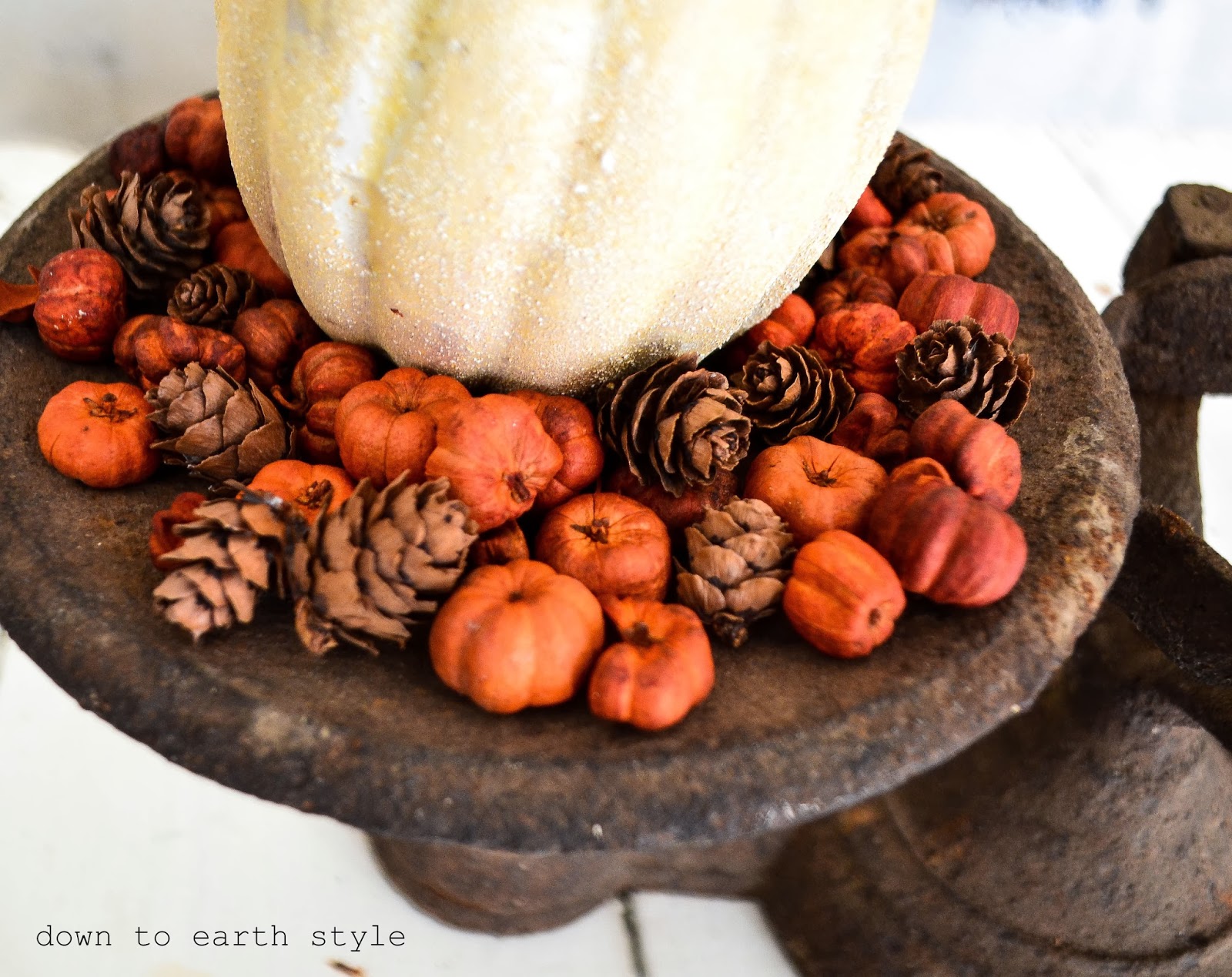 Down to Earth Style: Rusty Scale, Baby Pumpkins and Pinecones