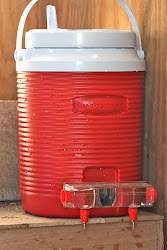 chicken waterer tap water chickens cooler brite insulated keep warm winter pen feeders coop diy raising nipple system taps during