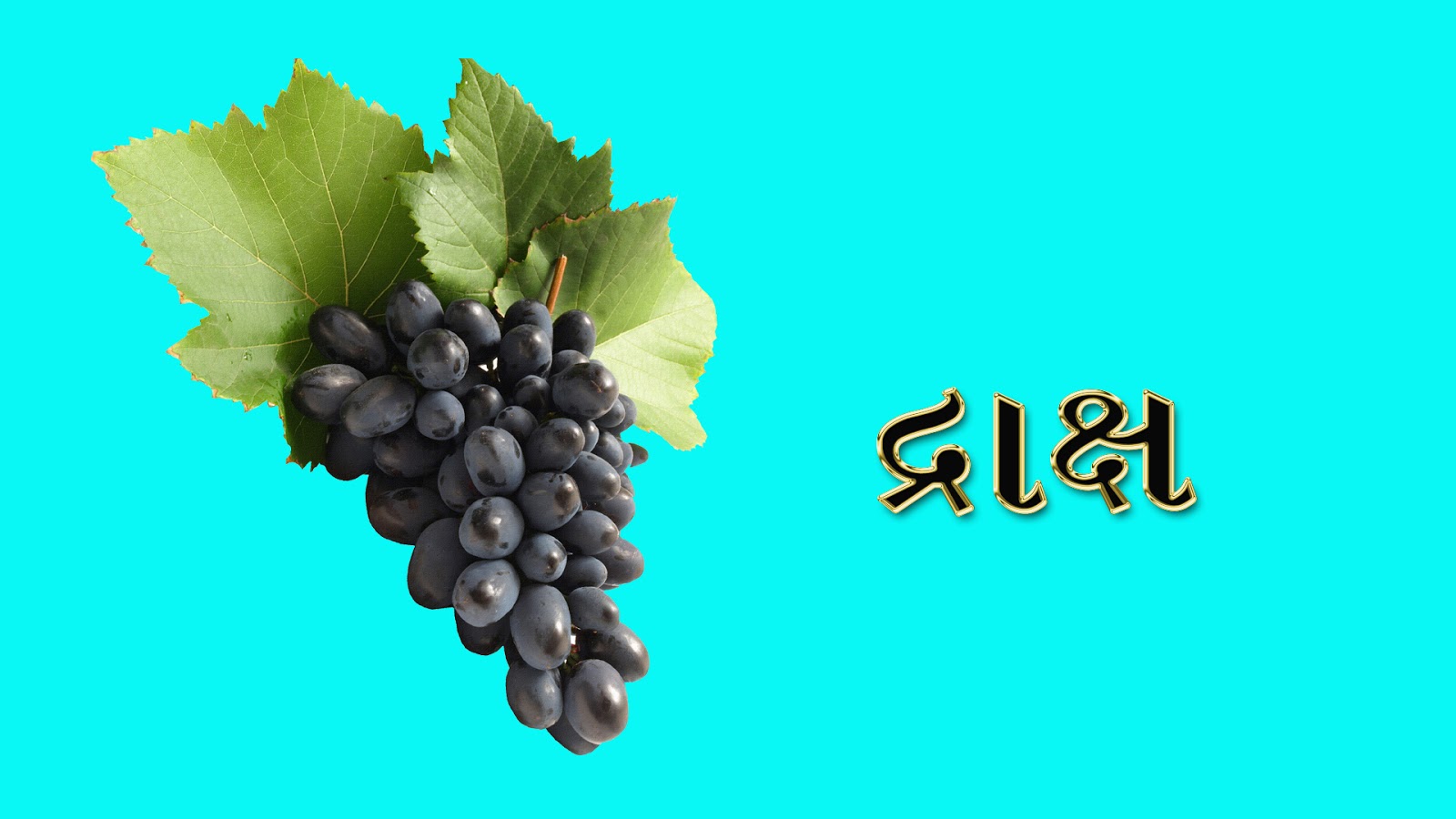 Fruit name in Gujarati