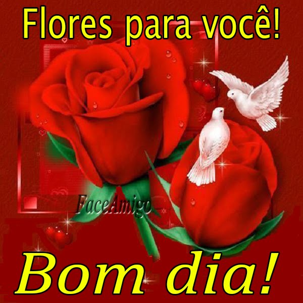 Salada mista Bom dia! Salada mista Bom dia!