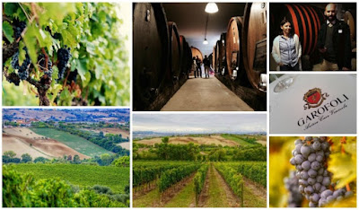 cantina garofoli verdicchio