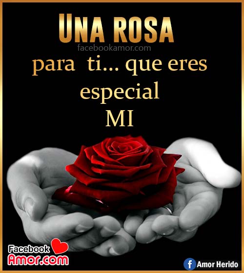 una rosa para ti una rosa para ti