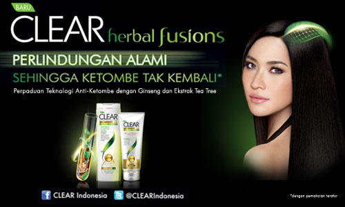 Cara Merawat Rambut Kering Secara Alami Cara Merawat Rambut Kering Secara Alami