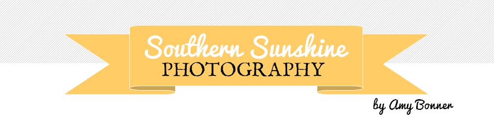 Southern Sunshine Photography