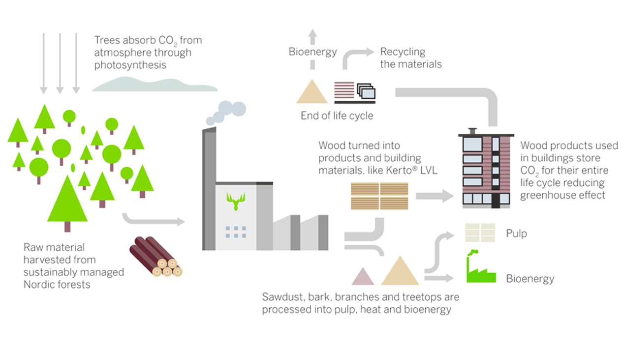 7 Reasons Why Wood is a Better Environmental Choice than Other Building