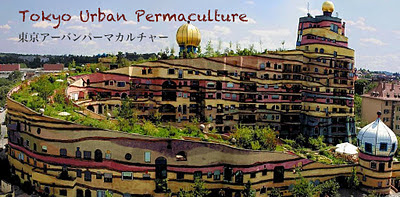 Tokyo Urban Permaculture