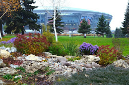 Донецк. Donbass Arena моими глазами