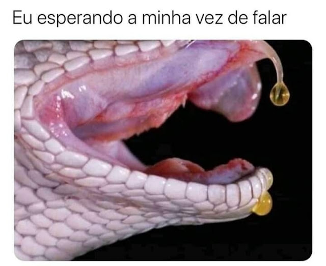 Memes engraçados Memes engraçados