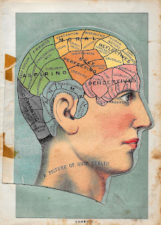 medical illustration human head clip art medical human head illustration image anatomy clipart