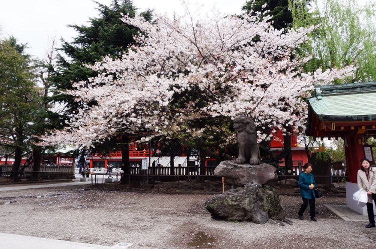 Tokyo, Japan, Euriental