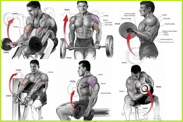Killer Bicep Workout Will Explode Your Arm Size ~ multiple fitness