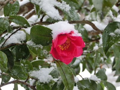 �Ɋy���̐�i�F