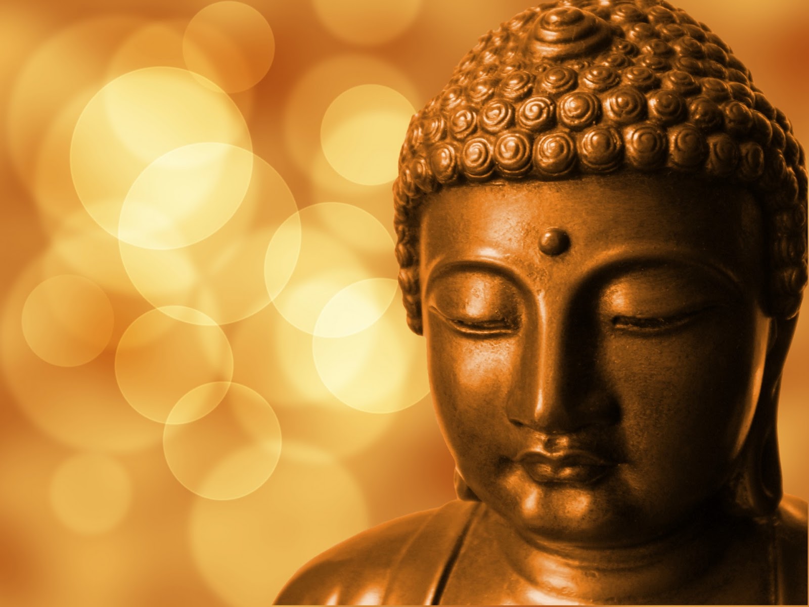 The Earliest Buddhist Teaching on Living in the Present Moment