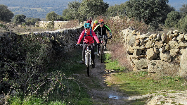 AlfonsoyAmigos  - Rutas MTB