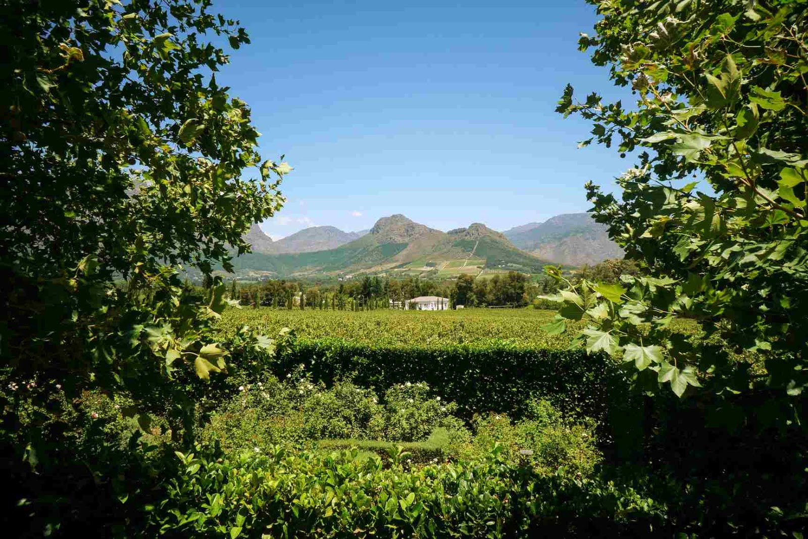 Tour the West Coast Wineries