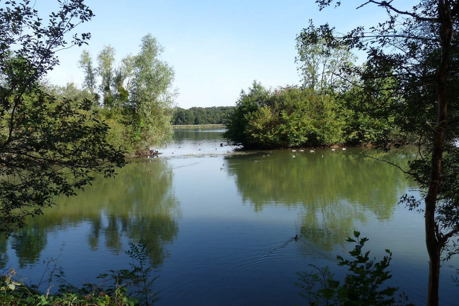Base Nautique De Saint Quentin En Yvelines ADEVE: Loisirs. Base nautique St Quentin en Yvelines