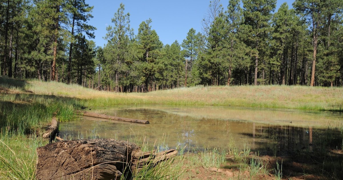Arizona Hiking OBSERVATORY MESA NATURAL AREA