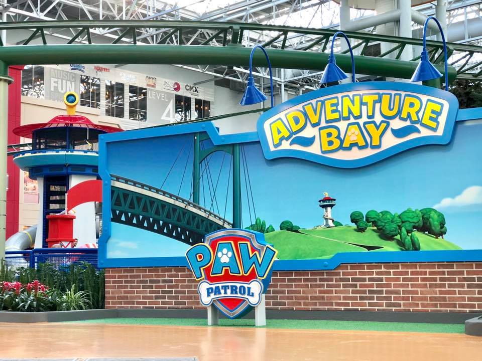 paw patrol moa