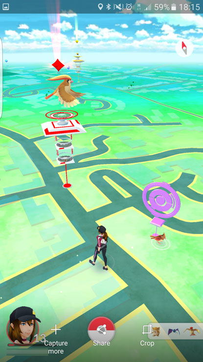 Gotta catch ‘em all? Combine Pokemon Go with your love of cats!