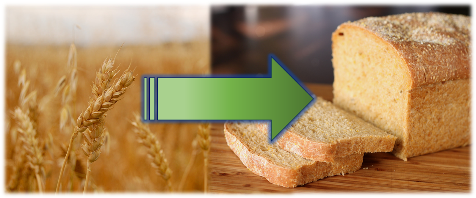 What is Gluten ? The Science behind dough Formation.... Food Tech