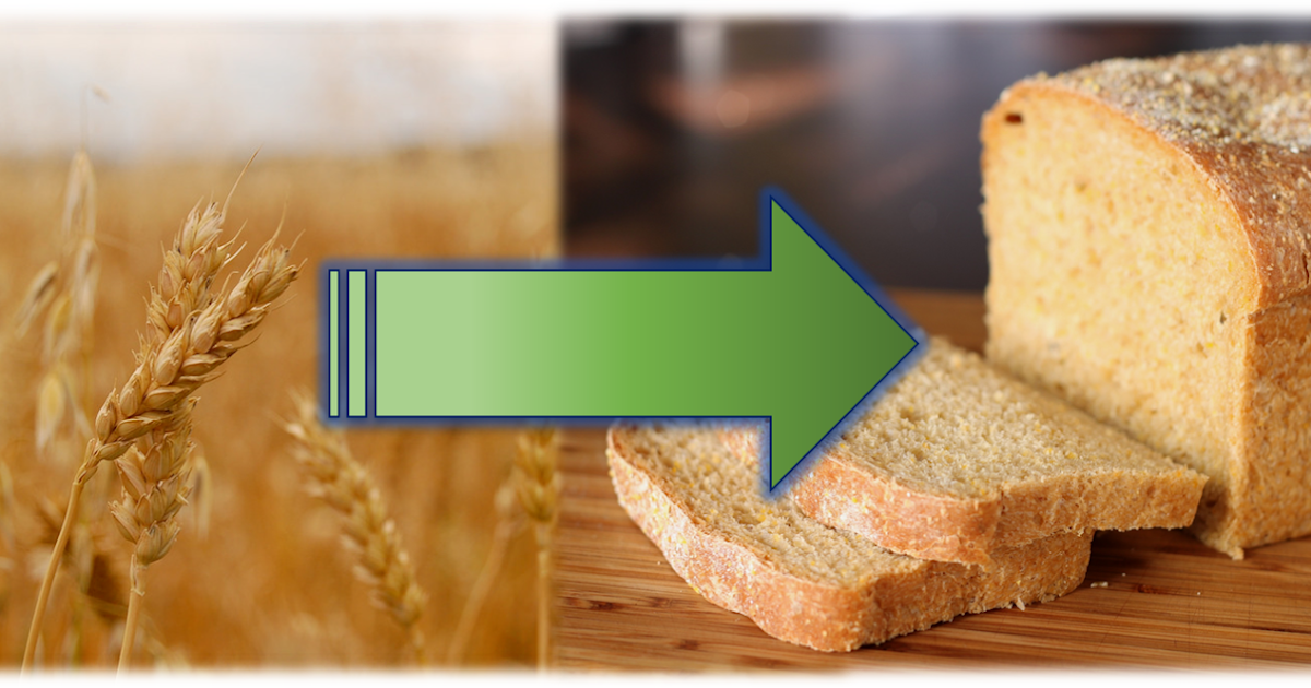 What is Gluten ? The Science behind dough Formation.... Food Tech