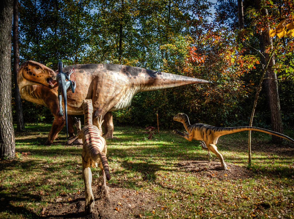 Warum Starben Die Dinosaurier Aus Info direkt - alles, was Du wissen musst!: Warum starben die