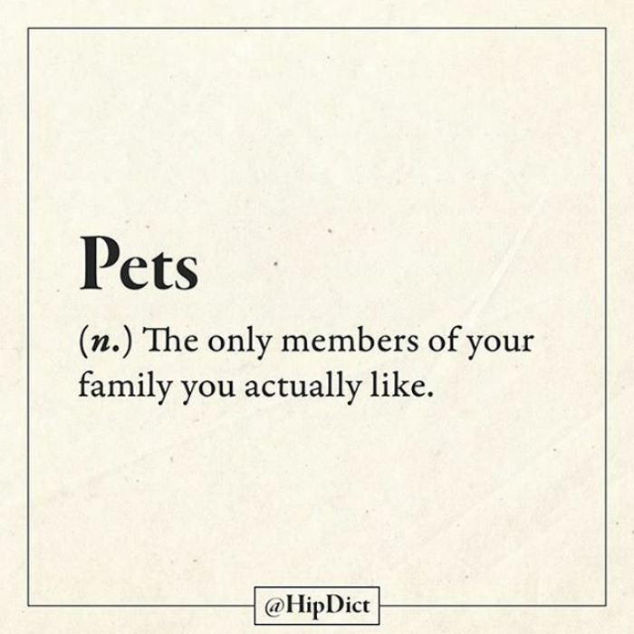 30 Harsh Truths By A Hilarious Photo Dictionary 30 Harsh Truths By A Hilarious Photo Dictionary