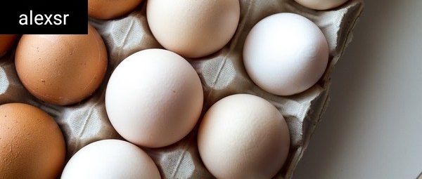 ماذا يحدث عندما تأكل البيض كل يوم