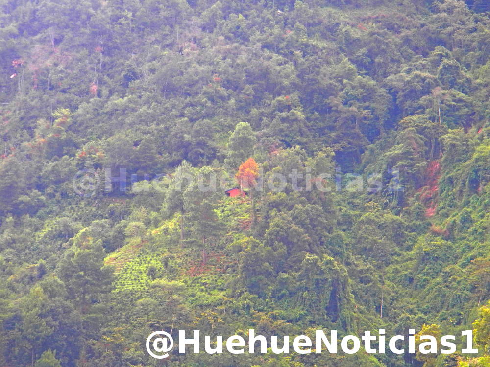 = Huehue Noticias 1 = Una Casita a medio cerro en Unión Cantinil.