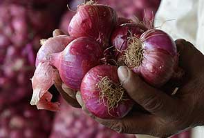 Pyaaj ki kheti kaise kare. Pyaaj ki kheti in Hindi.