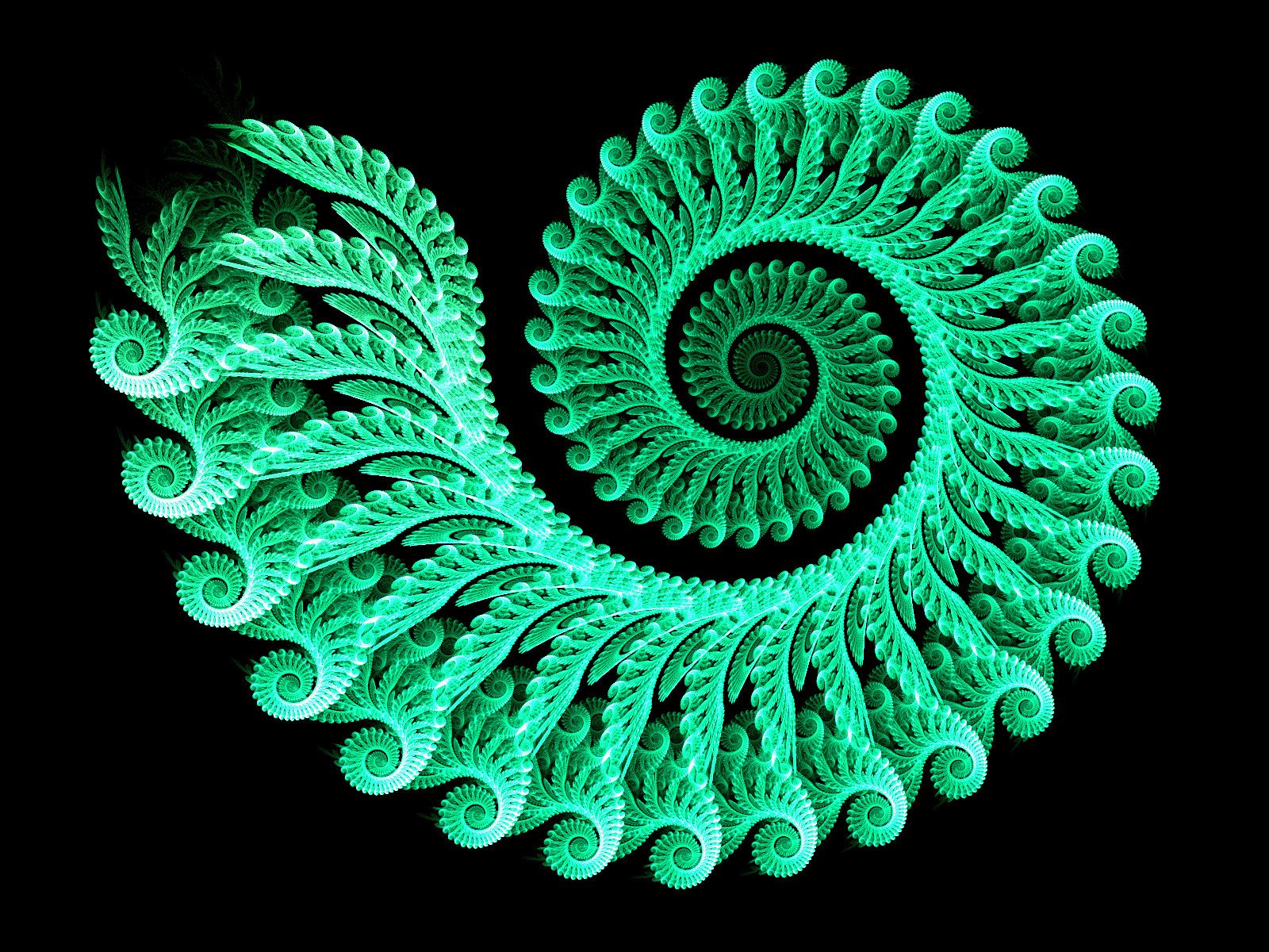 Purpura la geometr a fractal es de nuestro siglo