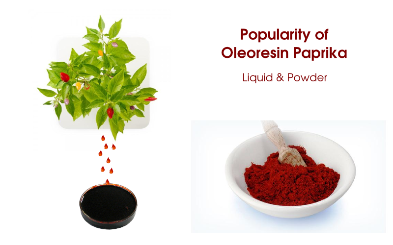 Popularity of oleoresin paprika products and their features Pharmaceutical Drugs Manufacturers