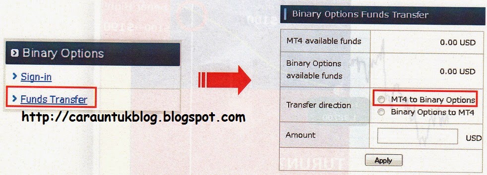 Cara deposit lion binary option