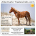 Albemarle Tradewinds March 2018 Now Online!