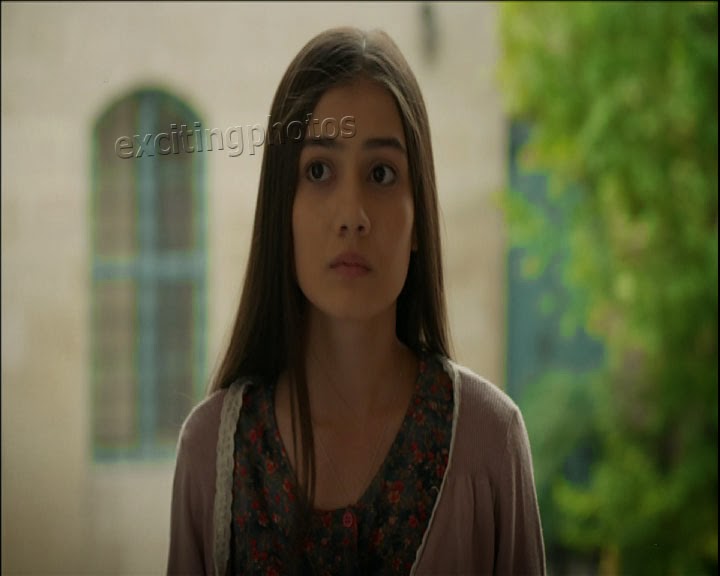 HEYECANLI FOTOĞRAFLAR Sevda Erginci