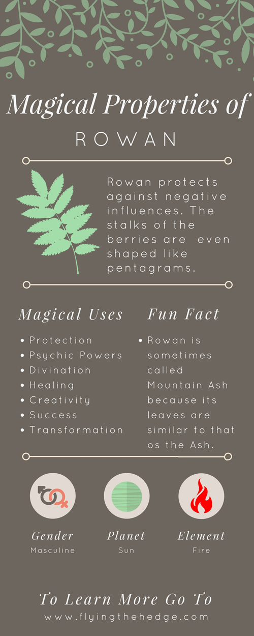 Flying the Hedge Magical Properties of Rowan