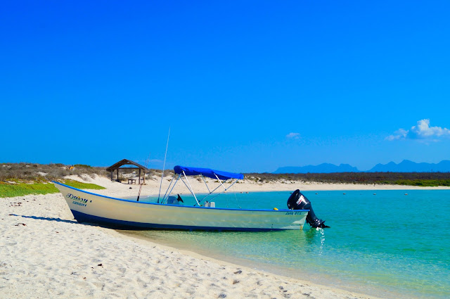 Playa blanca | Isla Coronados Isla Coronados B.C.S