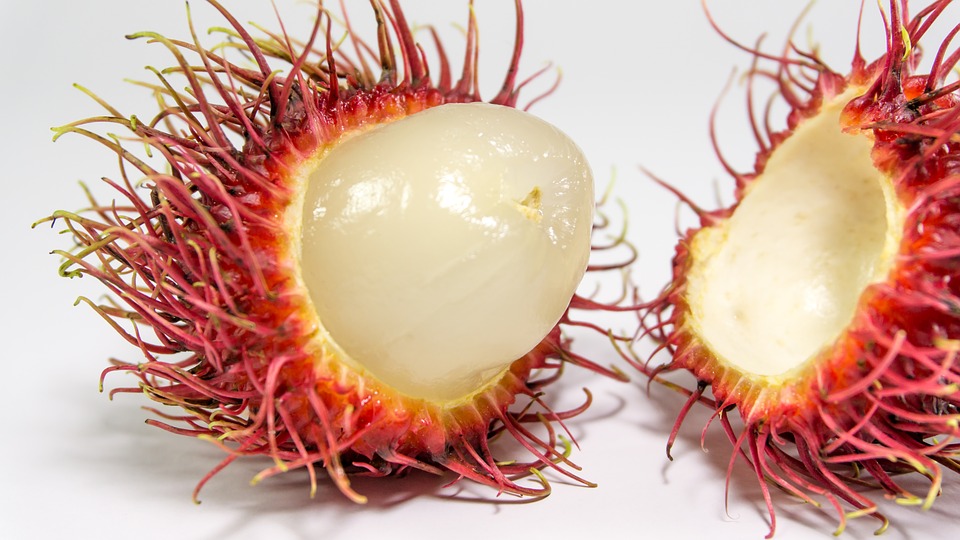 6 essential nutrients your body needs on a daily basis fasaflora com the 6 nutrients