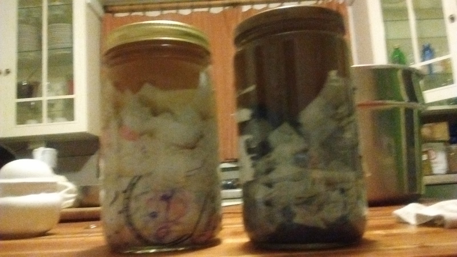 Little Urban Greenie How to Pickle Poop