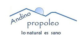 Andino Propóleo, Productos apícolas