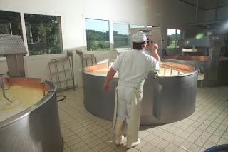 Fromager au pied de la cuve